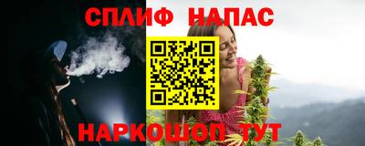 гашик Ливны