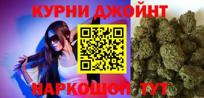 гашик Ливны