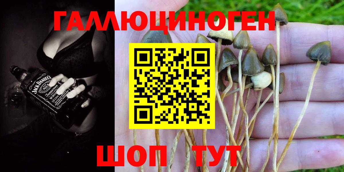 Галлюциногенные грибы MAGIC MUSHROOMS Гурьевск