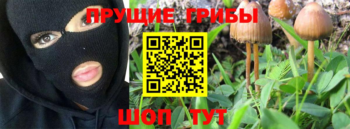 Псилоцибиновые грибы мухоморы  Галлюциногенные грибы мухоморы  Гурьевск  Вход с VPN 
